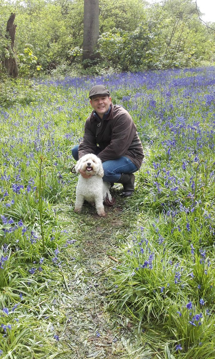 mellor_tracey's tweet image. Lovely walk around The Bluebell Woods #nationalforrest