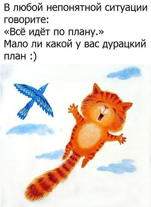 Какие планы картинки со словами, приколами мужу день