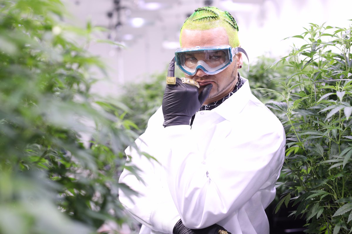 ReefDispensarie's tweet photo. NEWS: Tryke Companies / Reef Dispensaries teams with RiFF RAFF (@JODYHiGHROLLER) for new Cannabis Strains https://t.co/d7R667itWe https://t.co/BciywVkUhY