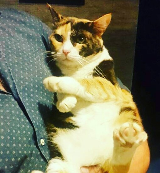 Siddhesh Bhobe Catrina Is Happy Her Hooman Is Back Siddhesh Bhobe Catrina Is Happy Her Hooman Is Back