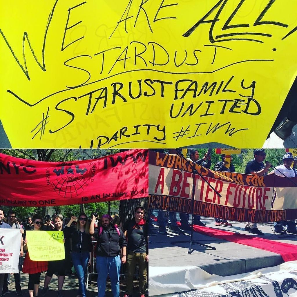 StardustFamilyUnited tweet media