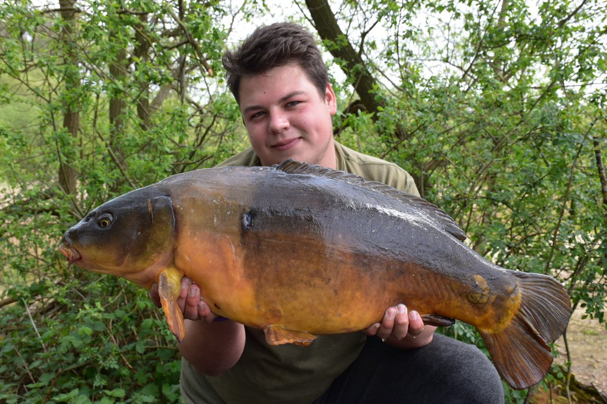 CharlieLittle16's tweet image. 23.4lb 2 tone mirror and fully scaled mirror @branstonwater