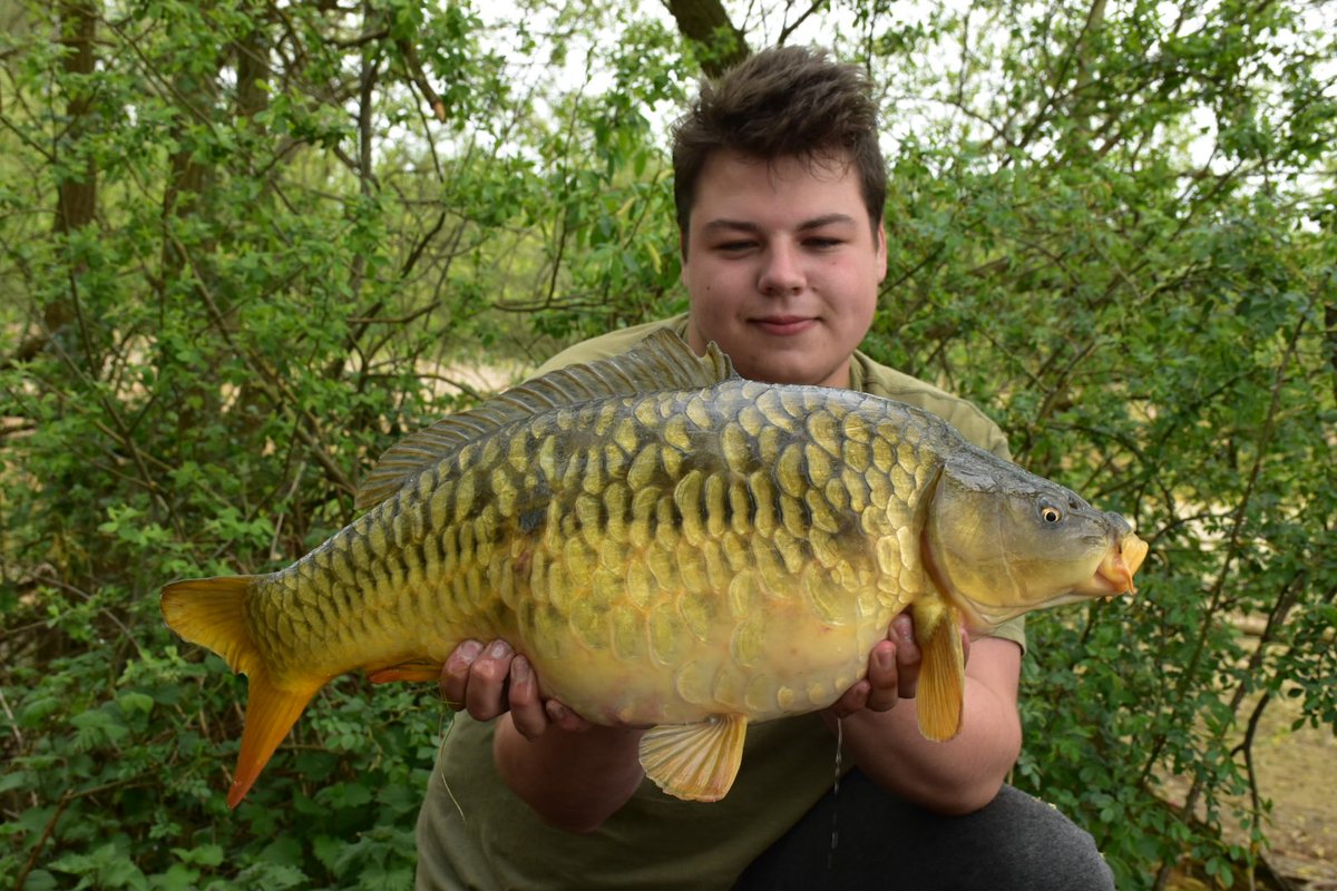 CharlieLittle16's tweet image. 23.4lb 2 tone mirror and fully scaled mirror @branstonwater