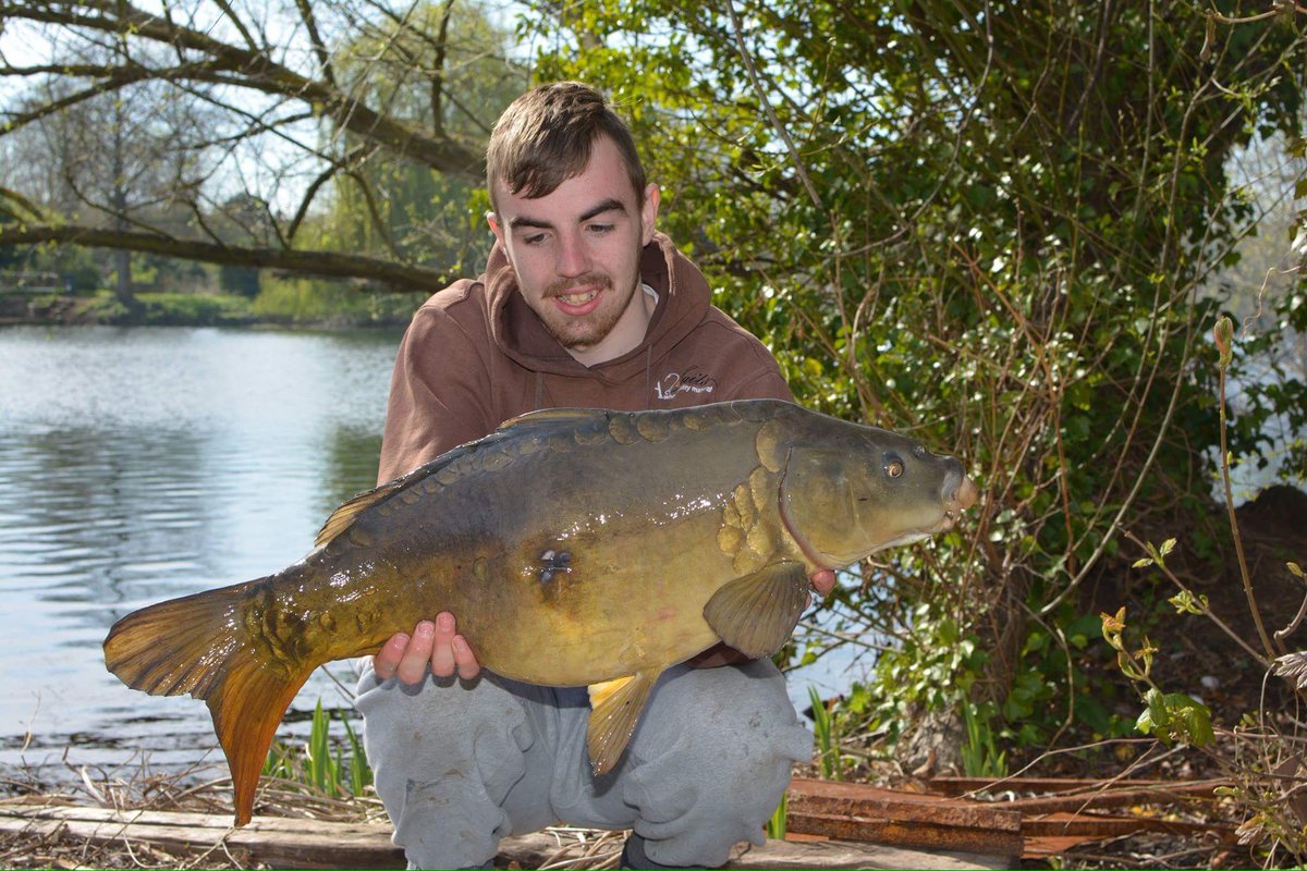 Dan (@danbradley14) on Twitter photo 