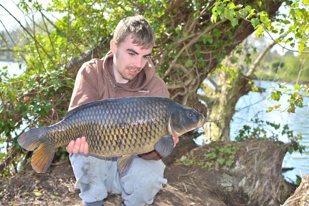 Dan (@danbradley14) on Twitter photo 