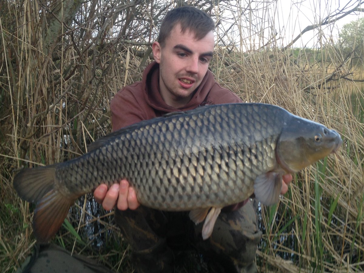 Dan (@danbradley14) on Twitter photo 