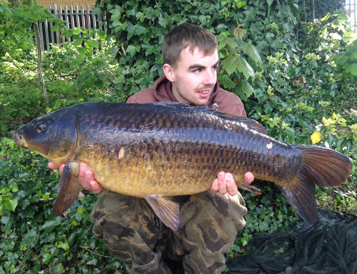 Dan (@danbradley14) on Twitter photo 