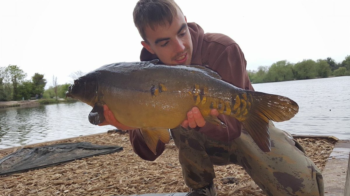 Dan (@danbradley14) on Twitter photo 