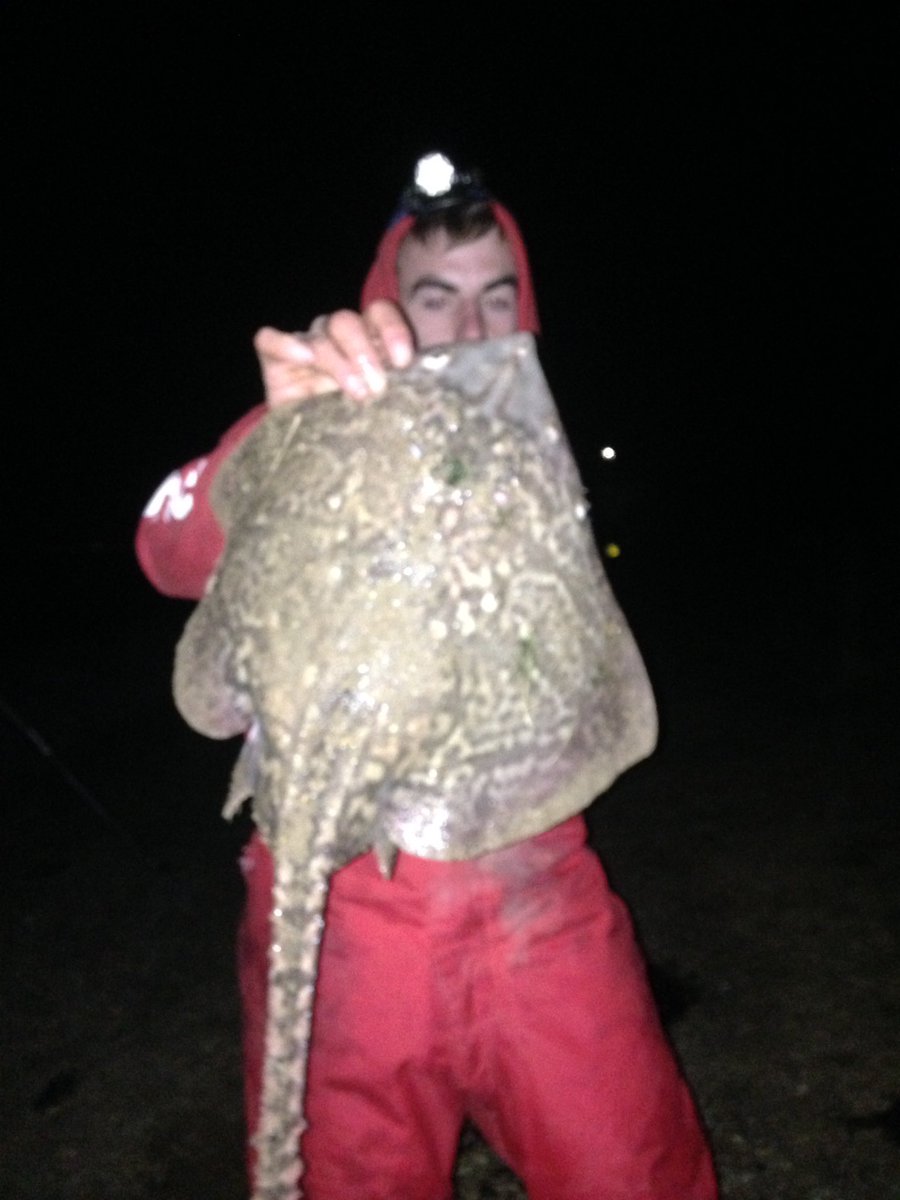 Dan (@danbradley14) on Twitter photo 