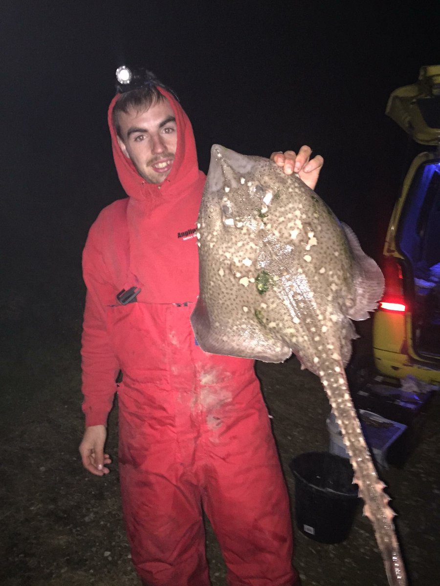 Dan (@danbradley14) on Twitter photo 