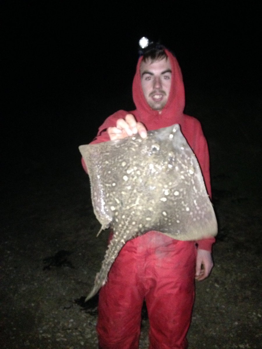 Dan (@danbradley14) on Twitter photo 