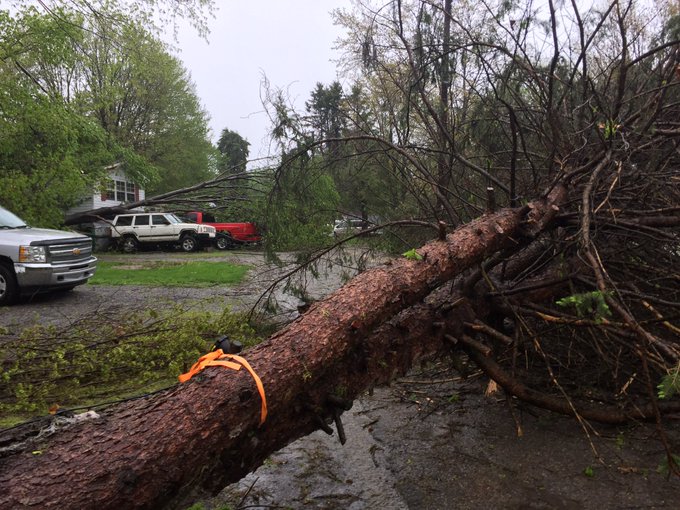 View image on Twitter