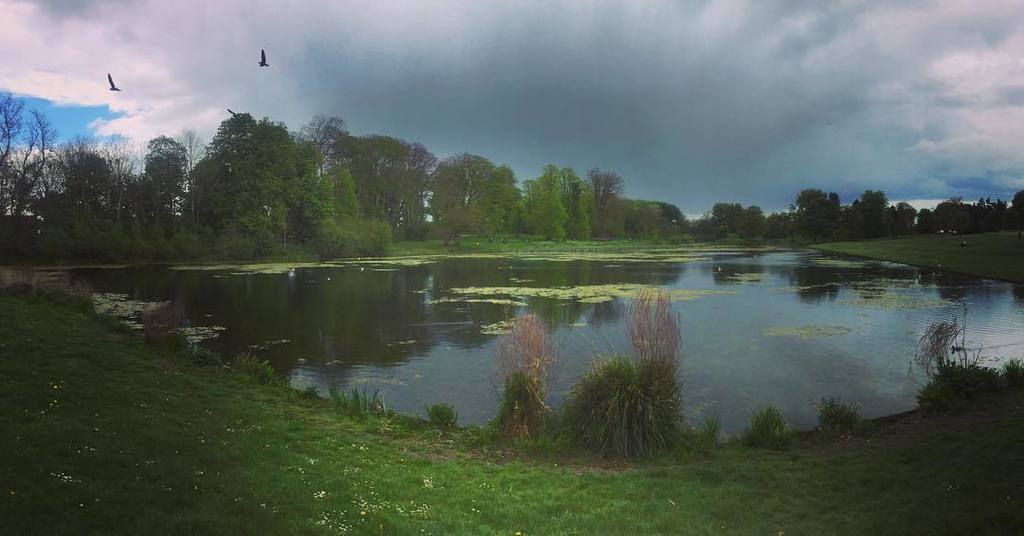 anniekday1's tweet photo. Rain clouds roll over Lydiard Park
#lydiardpark #igersuk #igerwiltshire #timeforwiltshire #swindon #weather #rainc… https://t.co/7FFlVXQXD4 https://t.co/ppOPEYjUHC