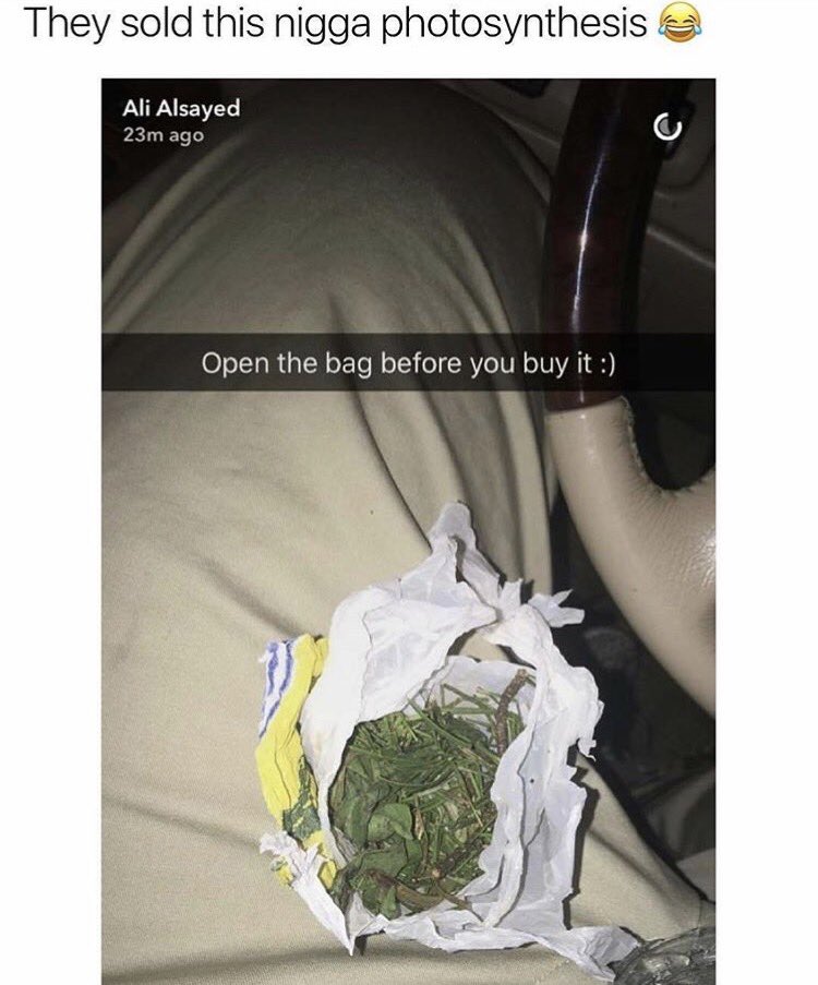 BuyLegalMedsCo's tweet photo. They did him so wrong 😂 https://t.co/sarlTTWnUo
