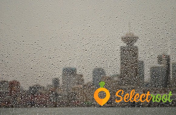 selectroot's tweet image. 8 Ways to Beat the Blues in Raincouver's Northshore goo.gl/hOfAMK