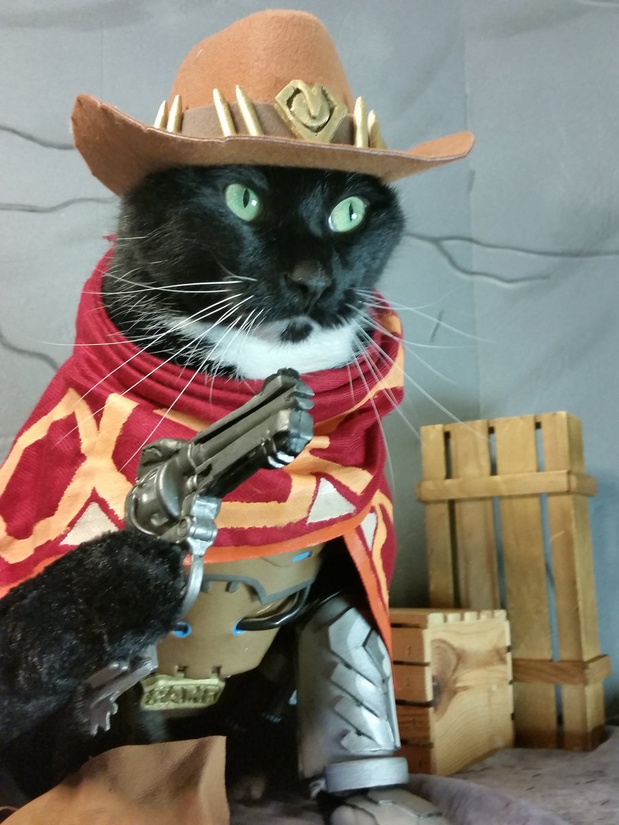 кот ковбой. дикий запад кот. ковбой бандит. дикий запад rdr 2. рейнджер дикого запада арт.