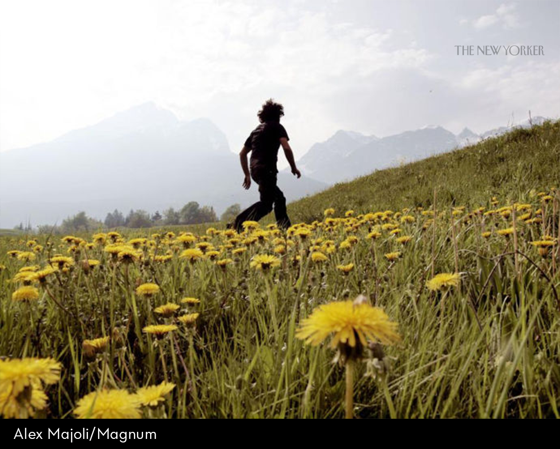 asudevil1's tweet photo. Why walking helps us think: https://t.co/CYOvNzfl29 #TNYarchive by #GloriaSacer via @c0nvey https://t.co/Y4akkv2Gmw