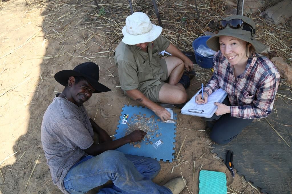 The Rock Art Dating project has involved new rock art dating techniques, providing valuable insight on the area: kimberleyfoundation.org.au