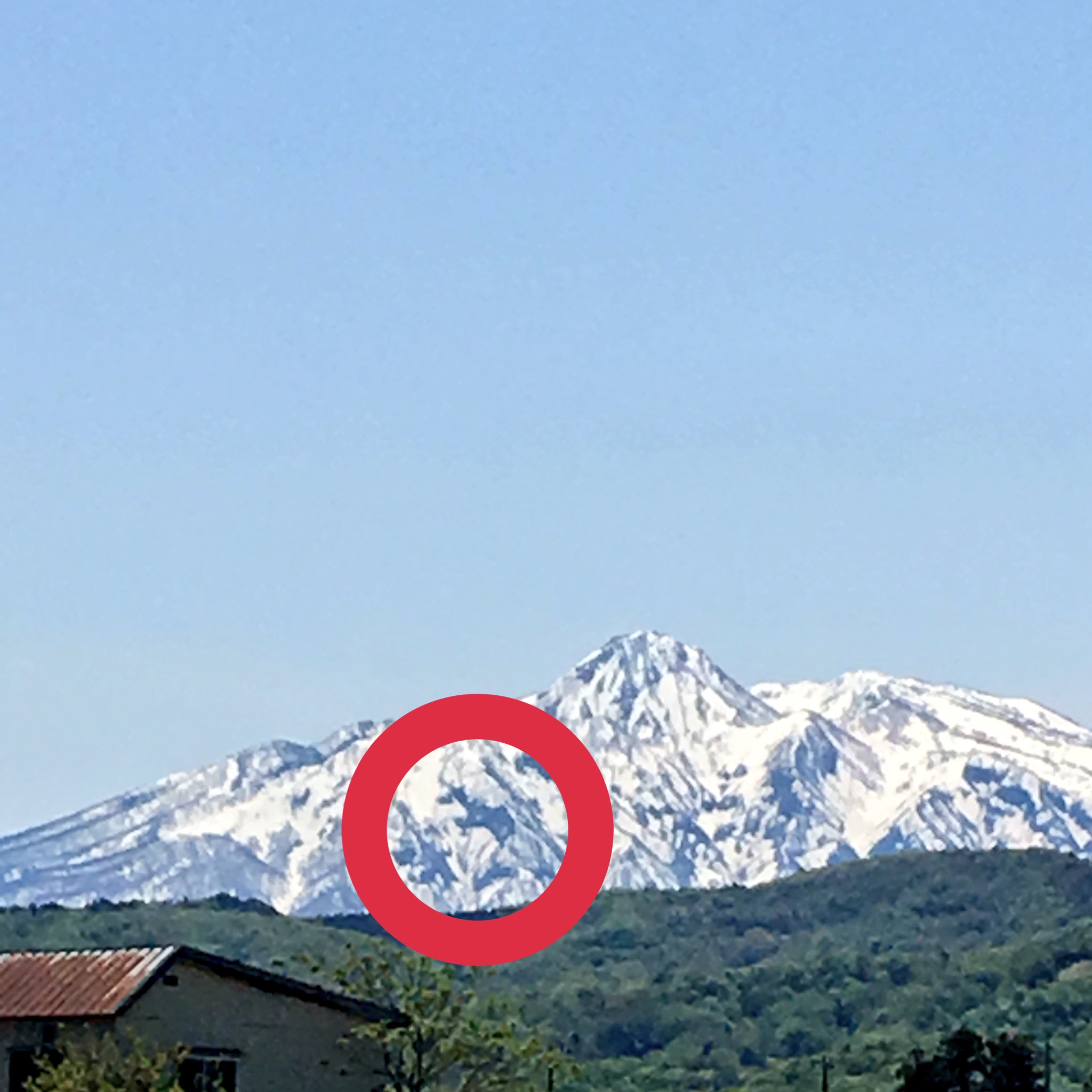 メンドクサガリータ これが越後 妙高の跳ね馬です 昔の人はこれが出る頃に田植えをする などと暦の印として重宝していたようです 写真好きな人と繋がりたい Iphone越しの私の世界 妙高 美しき新潟の風景 はねうま T Co Z60qm3oqtc Twitter