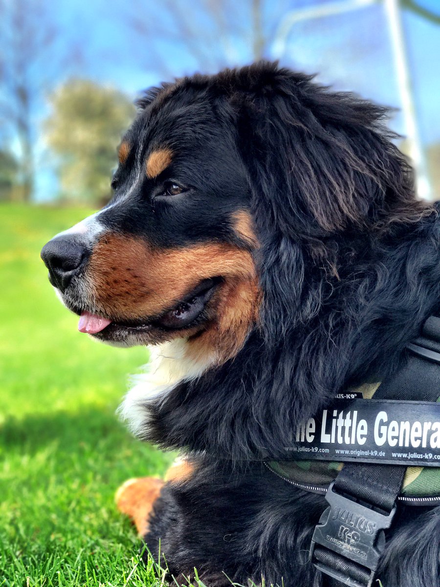 general_sherm's tweet image. If we had no winter, the spring would not be so pleasant. ~ Anne Bradstreet #springtimebliss #thankyouwinter