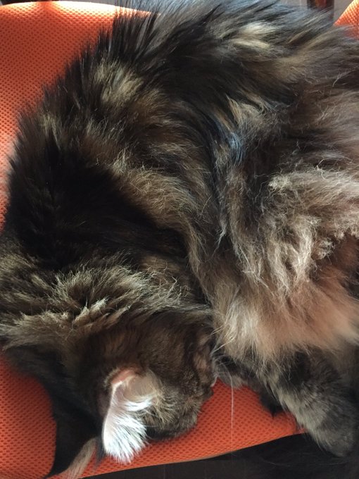 神楽のtwitterイラスト検索結果 古い順 神楽のtwitterイラスト検索結果 古い順