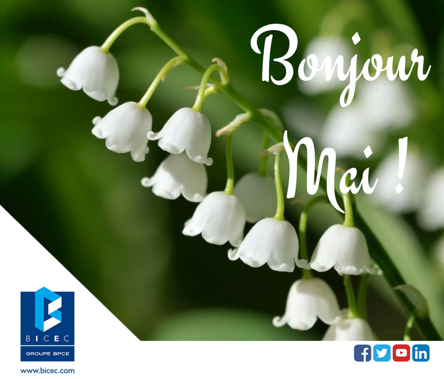 Bicec Sa La Bicec Souhaite Joyeux Anniversaire A Tous Les Natifs Du Mois De Mai Mai Taureau Brindemuguet Bicecares Bicec Sa La Bicec Souhaite Joyeux Anniversaire A Tous Les Natifs Du Mois De Mai Mai Taureau Brindemuguet Bicecares