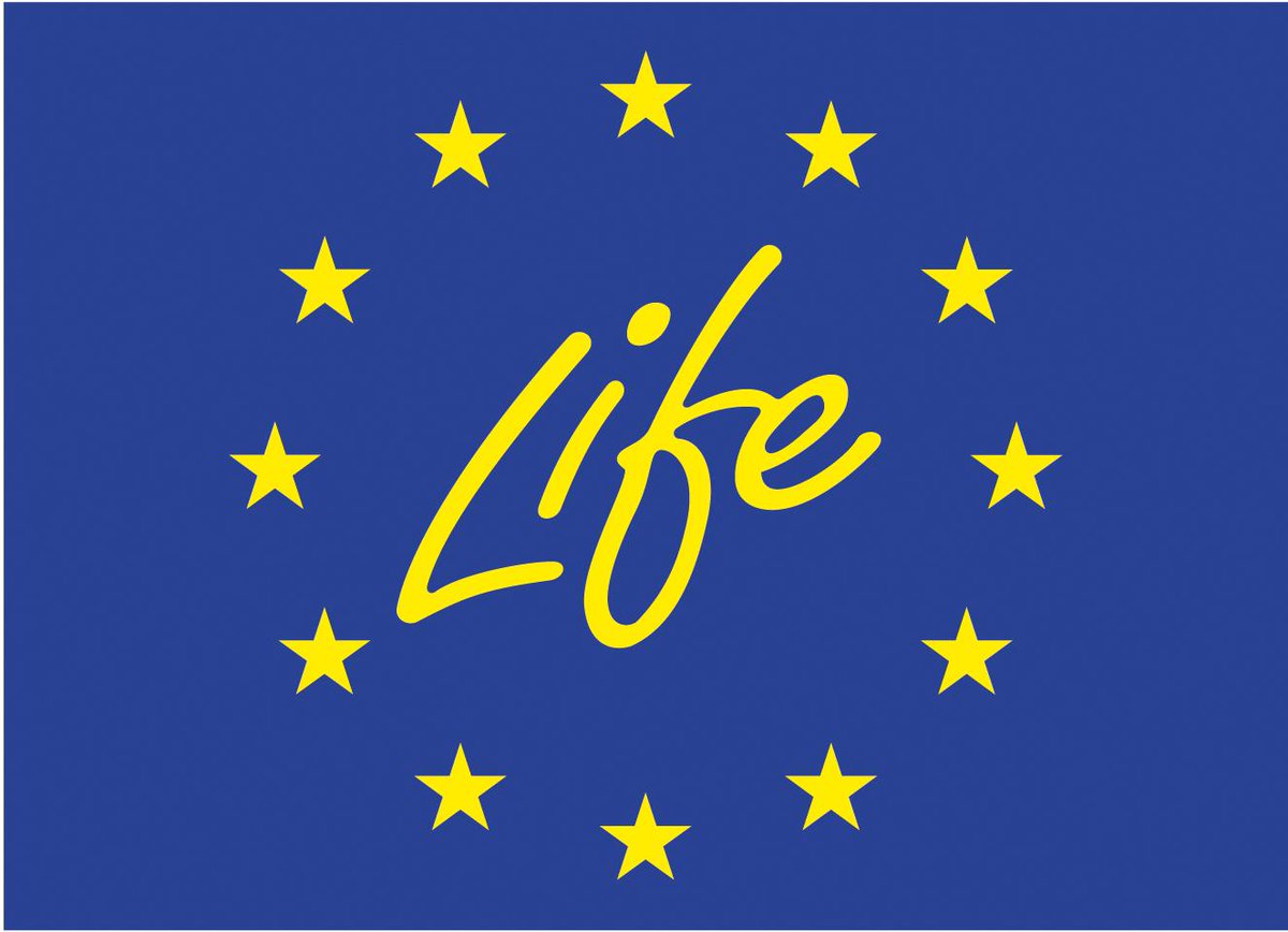 EEN_EU's tweet image. #LIFE_Programme launches 2017 call for action grants: more than €373 million available! Apply by September 2017 bit.ly/2ptq4rU