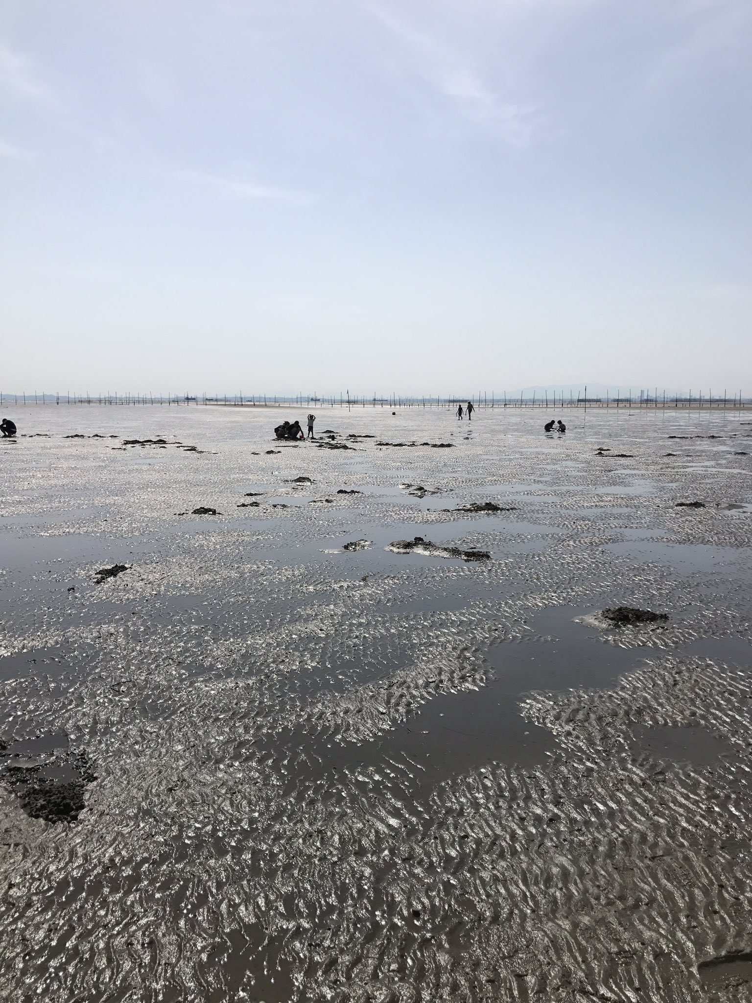 パンプキンキング 金田海岸潮干狩り 嫁と娘はガンガン奥に 息子は横で貝取らずに熊手で溝作って遊んでる T Co 16wk09bjet Twitter パンプキンキング 金田海岸潮干狩り 嫁と娘はガンガン奥に 息子は横で貝取らずに熊手で溝作って遊んでる T Co 16wk09bjet Twitter