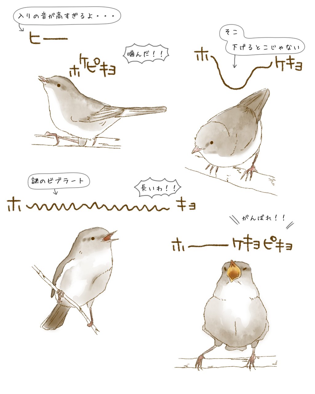 下手くそすぎるｗ上手く鳴けないウグイスがかわいい 話題の画像プラス