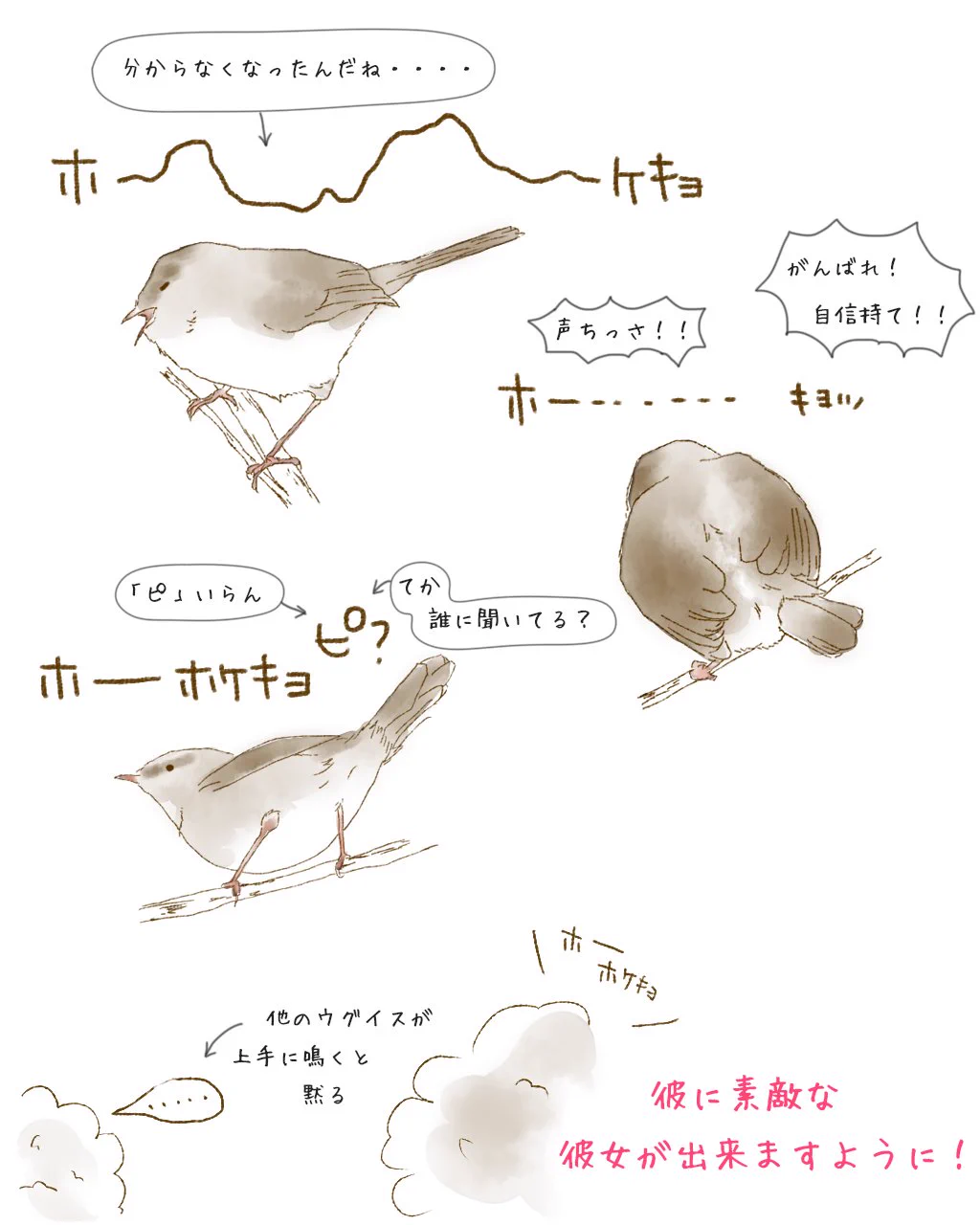 下手くそすぎるｗ上手く鳴けないウグイスがかわいいｗｗｗ