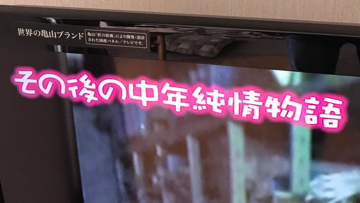 その後の中年純情物語 その後の中年純情物語