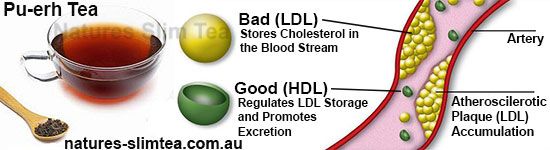 Lower Cholesterol? – How #Oolong and #Pu-erhTea or #GreenTea affects it.
buff.ly/2qhRuyJ
