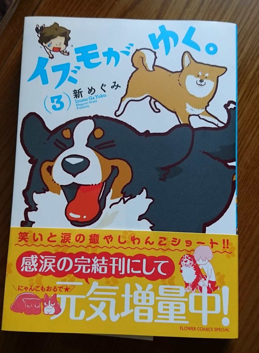 イズモがゆく