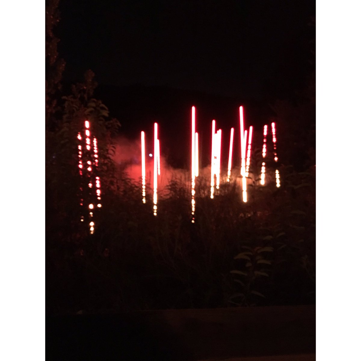 HeatherStormTV's tweet photo. Enchanted Forest of Light #DescansoGardens #holidaylights #happyholidays #beautifullights #california #locallights https://t.co/ZWjWe9wX25