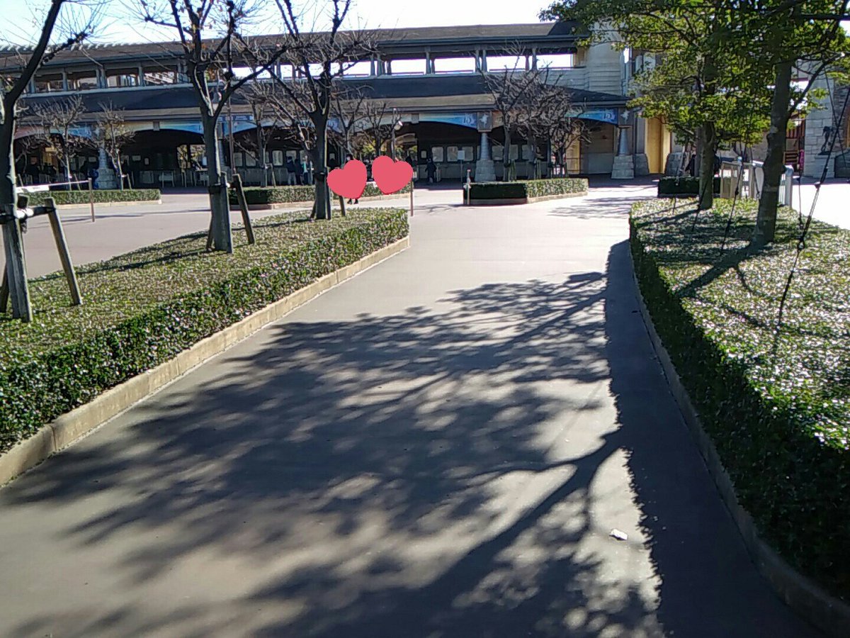 だふぃこ در توییتر 海ノースゲートカウントダウン待機列ミラコ側から2列目できてます 最後尾は2列目真ん中くらい Tdr Now 東京ディズニーシー ニューイヤーズイヴ