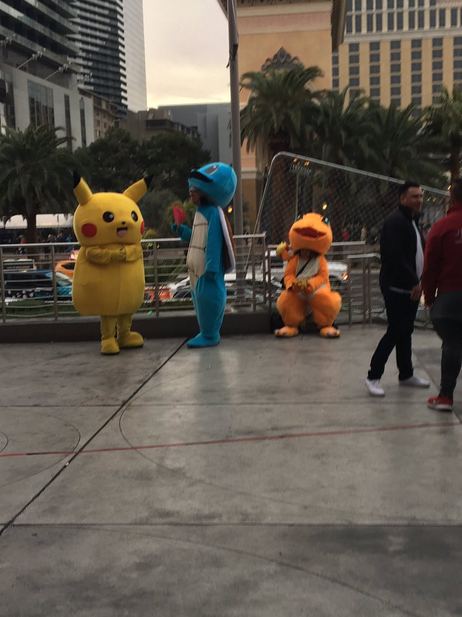 Jack Cat tweet media