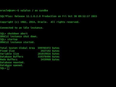 bebcnews's tweet photo. To Fix : oracle connected to an idle instance… https://t.co/Vqj9Brt3gH #Tutorials #connected_to_an_idle_instance_ #fix #Fixed #fixing https://t.co/tdCvIlko5L