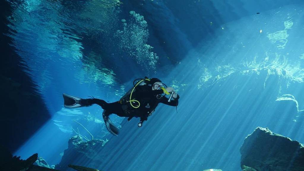 mayannace's tweet photo. Dat light 🔥🔥🔥#scuba #scubadiving #scubalife #scubadiver #scubagram #cenote #cavern #beams #datlight #dope #dopepic … https://t.co/BXUBugc9W3