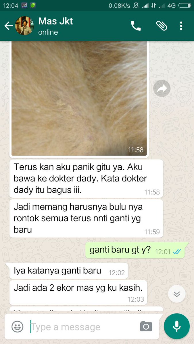 Lyvitplus's tweet image. 