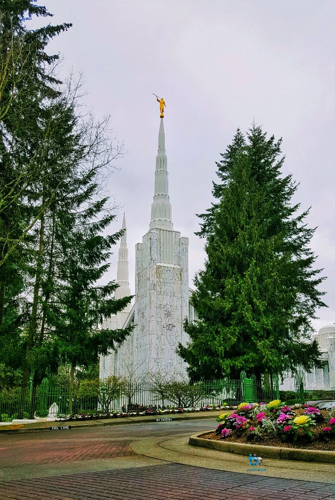 wadebphotos's tweet photo. The #LDStemple in #Portland #Oregon #bbrilliance #PortlandTemple #LDS https://t.co/YWQtahrt0f