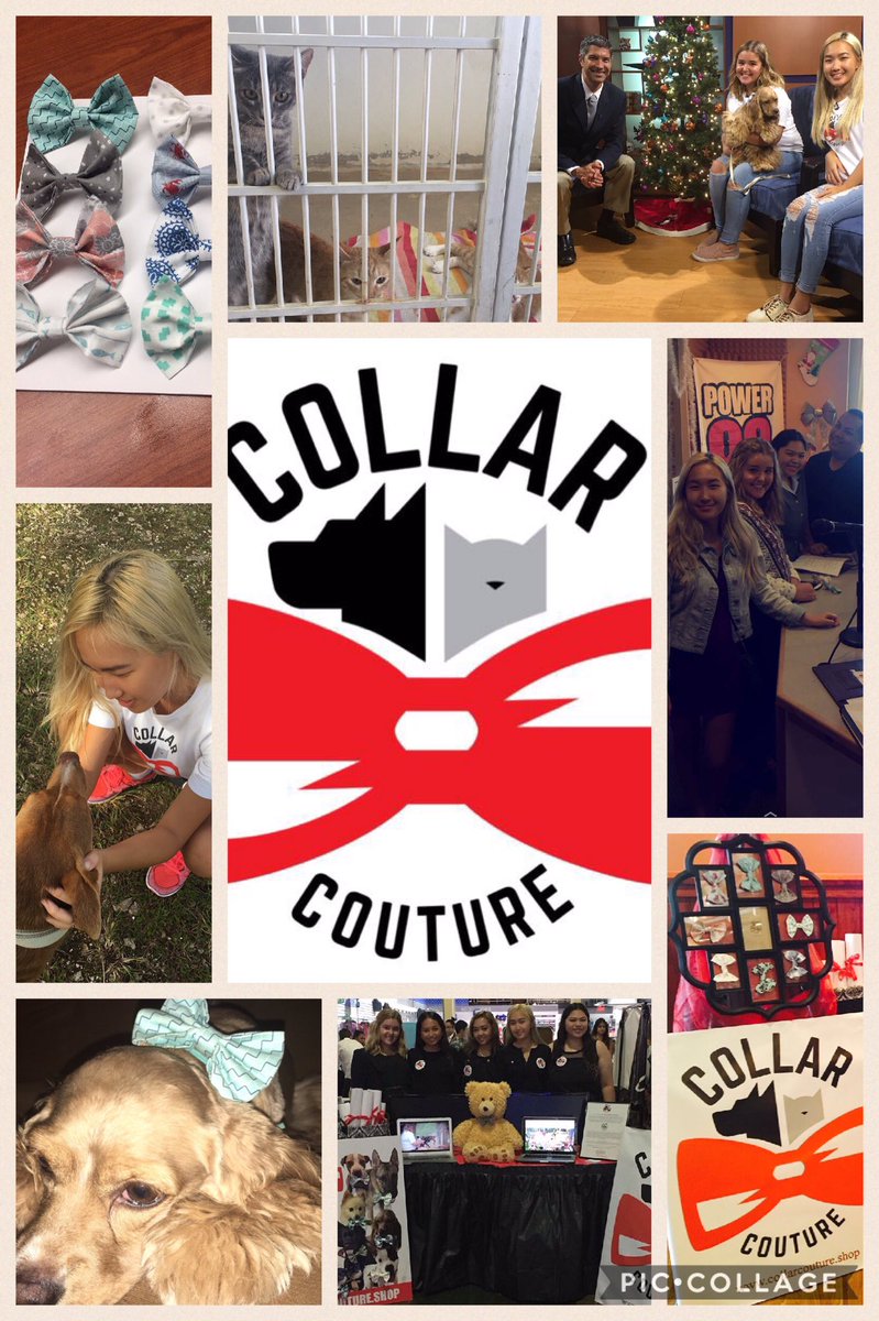 collarcouture16's tweet photo. We wish you all a wonderful 2017 🐶🐱🎀 https://t.co/RVXPNnRF1v