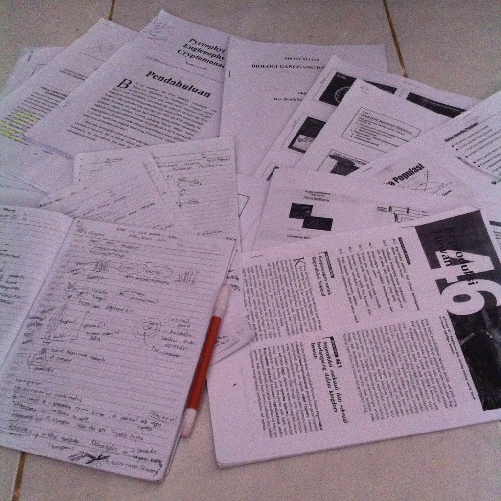 kikifrogggy's tweet image. LMAO HAPPY NEW YEAR AND HAPPY HOLIDAY MY ASSSS😩🎉🎇 #bahanUas #finalexams #thirdsemester #iwannadie