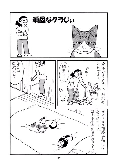 setsuko_yamada | セツコ・山田(猫おばさん) さんのマンガ | ツイコミ(仮)