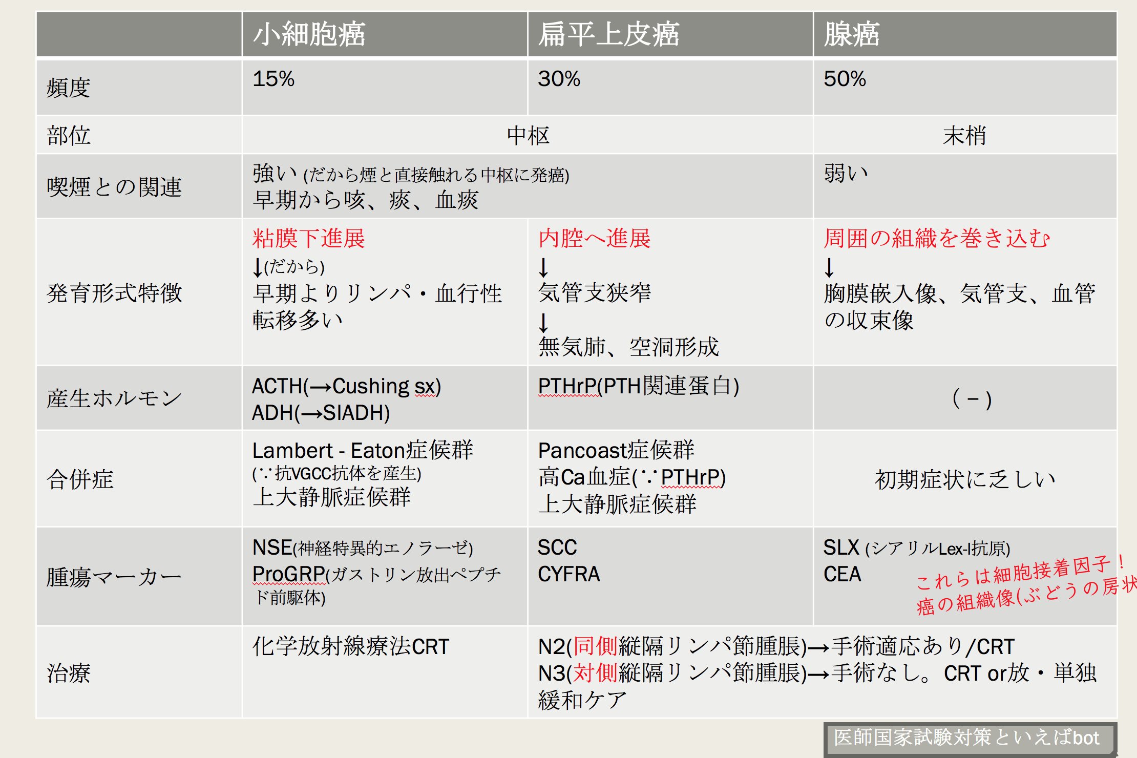 医師国家試験 高次脳機能 と MRI を絡ませた問題が、毎年出ています。 | 医師