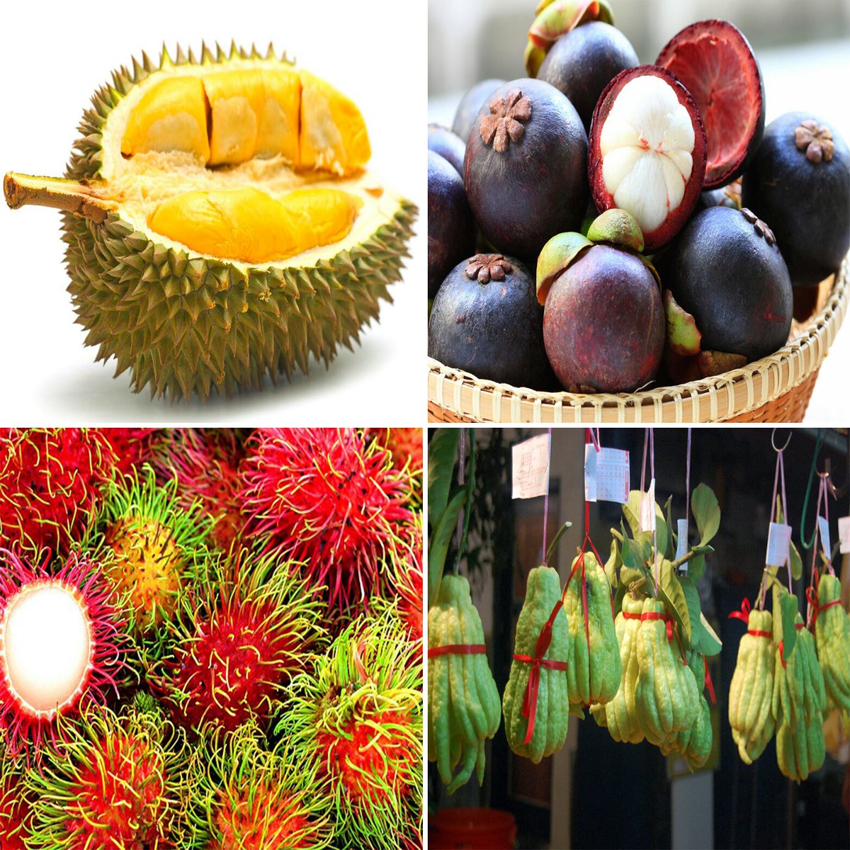 Weird Looking Asian Fruit