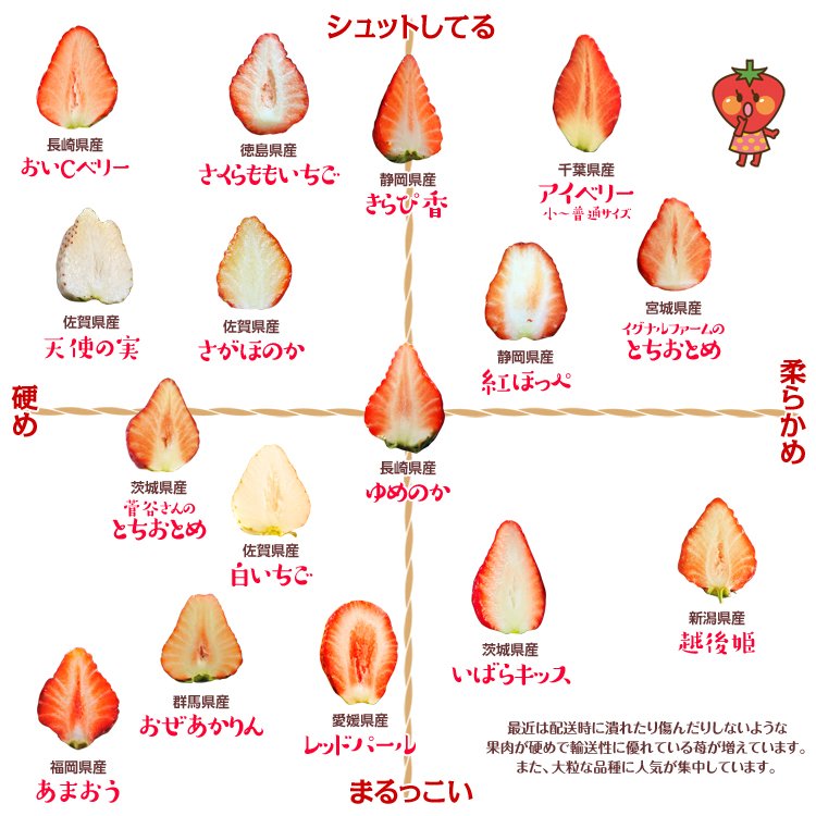 #断面図カタログ 第2弾です。というか、#苺 の品種別分布図かな。果肉の柔らかさと形をこれまでの試食に基づきわけてみました（中の人調べ）。ただ、産地や生産者さんによって変わってくるのであくまでも参考程度に見て頂ければ！
断面図がない苺はこれから撮影して追加していきまーす。