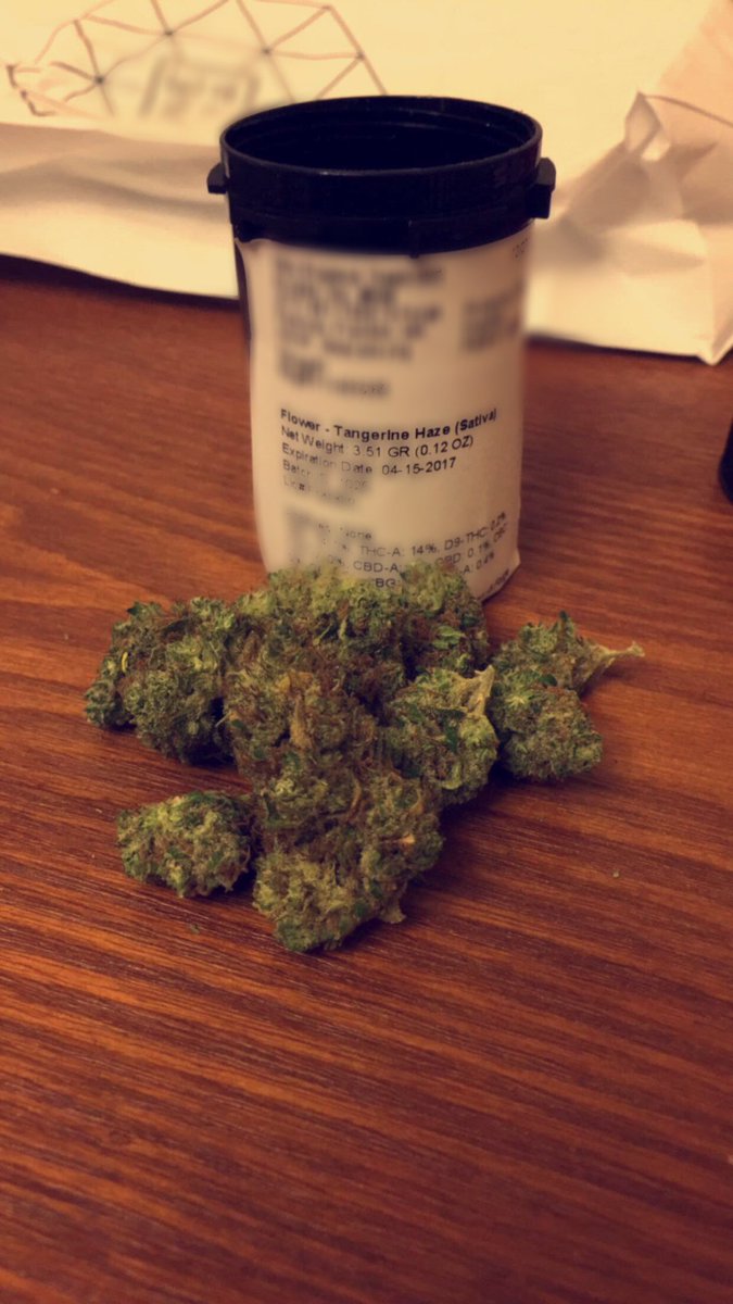 aficionadoOFpot's tweet photo. Tangerine Haze https://t.co/FgBD8lhVvV