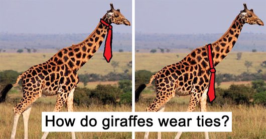AQuestionStupid's tweet photo. Bed Pee VACUUMS & Giraffes Wearing Ties?! https://t.co/QubQGJIkFJ #IsThisAStupidQuestion #ITASQ #Podcast https://t.co/pf4FeJ5Uxo