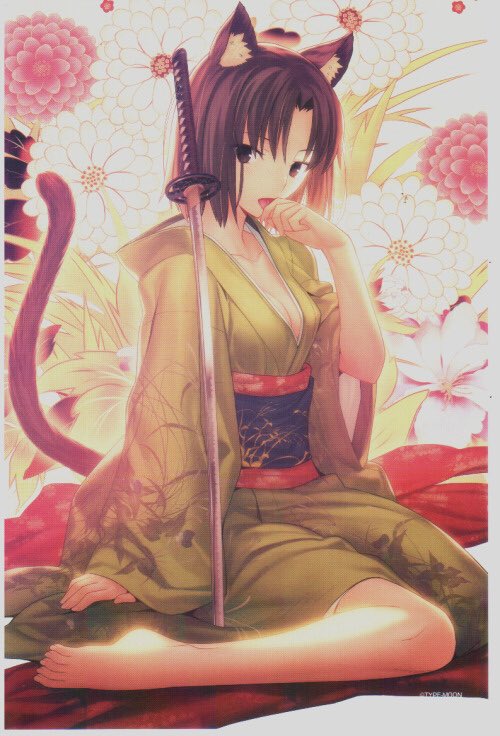 shiki (she is still a cat to the core)

(Submitted by @DEADGRLSPEAKING)