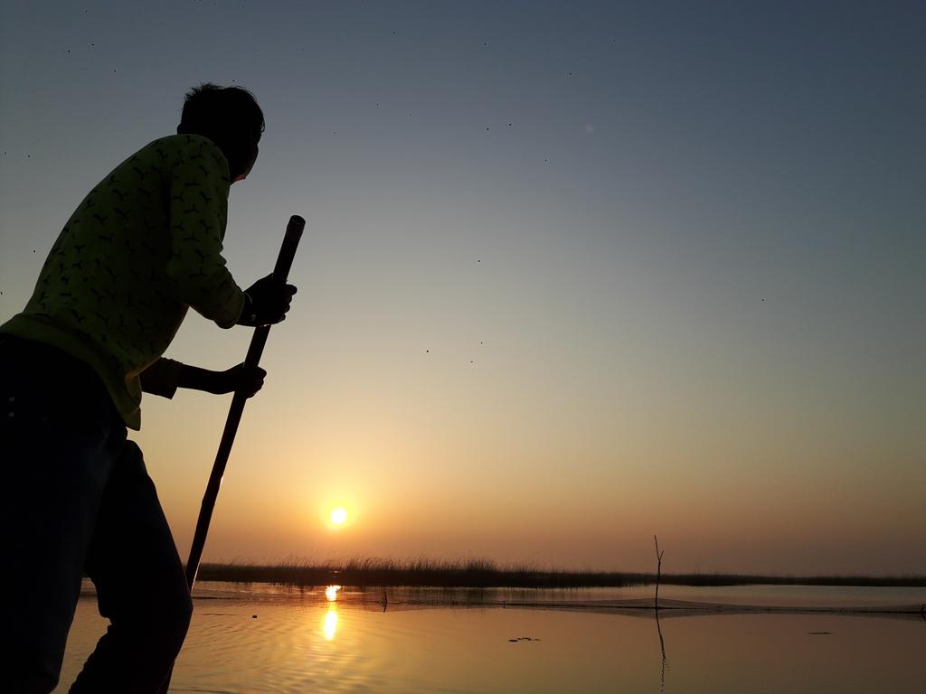 charukesi's tweet photo. A morning with the #flamingos at #Nalsarovar lake nearby #Ahmedabad #birdwatching #migratorybirds https://t.co/19c3eMQKVf